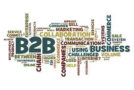 B2B Business Growth Strategy
